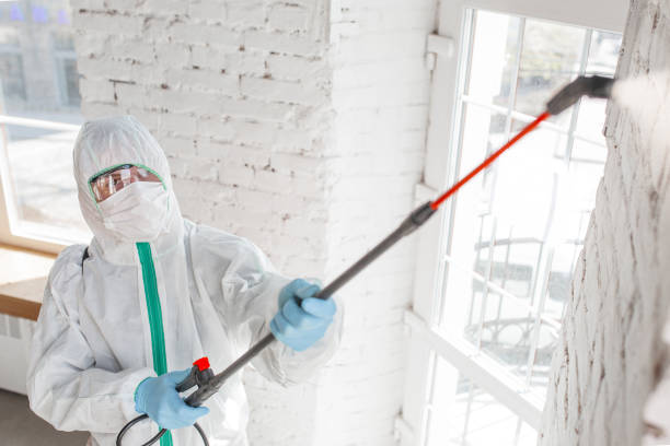 Best Black Mold Removal  in Farmville, NC