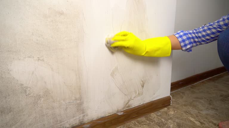 Best Crawl Space Mold Remediation  in Farmville, NC