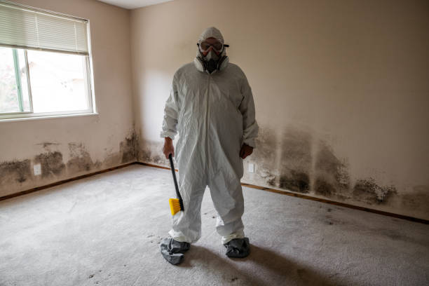 Best Mold Damage Restoration  in Farmville, NC